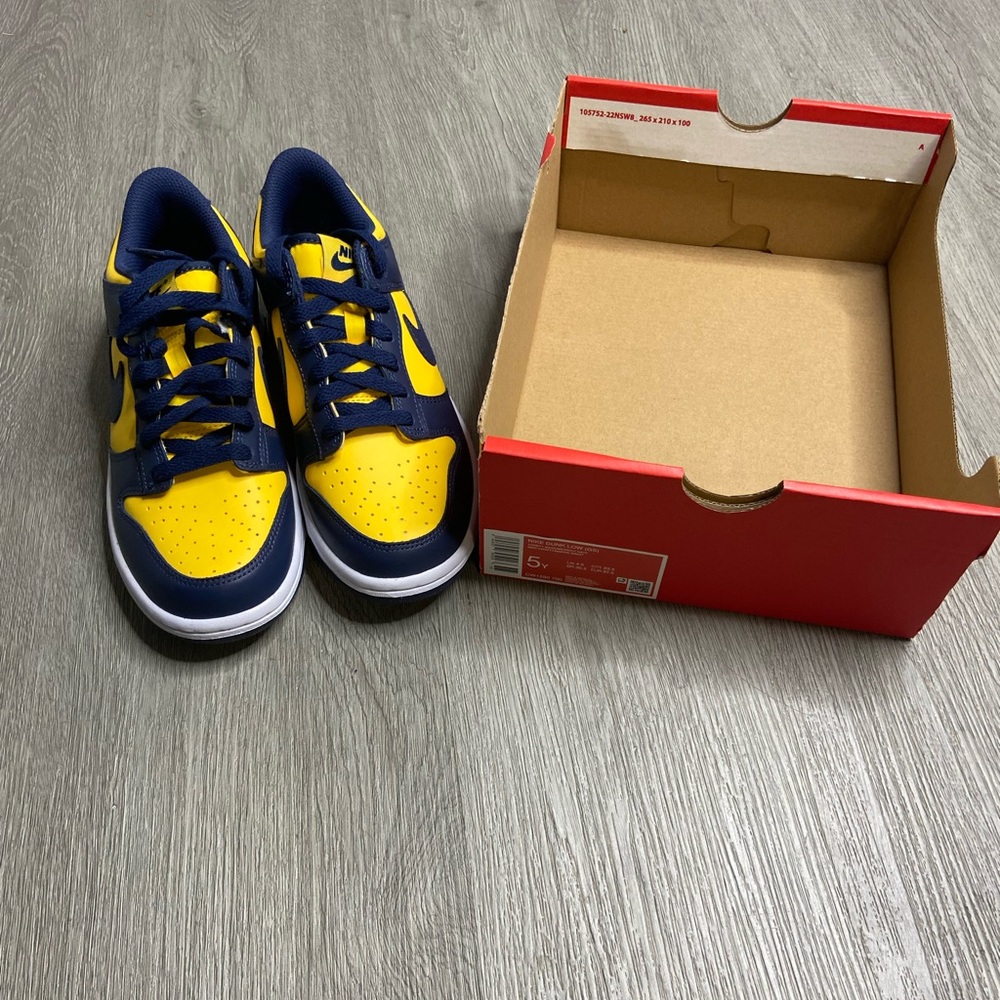 Nike Dunk Low Michigan